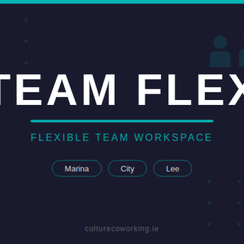 team_flex_thumbnail (1)