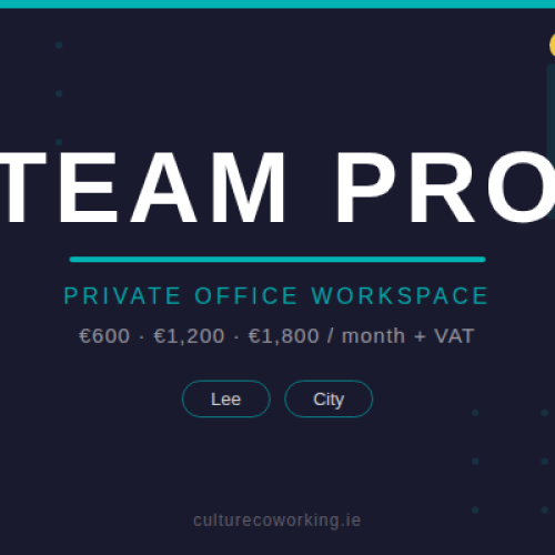 team_pro_thumbnail
